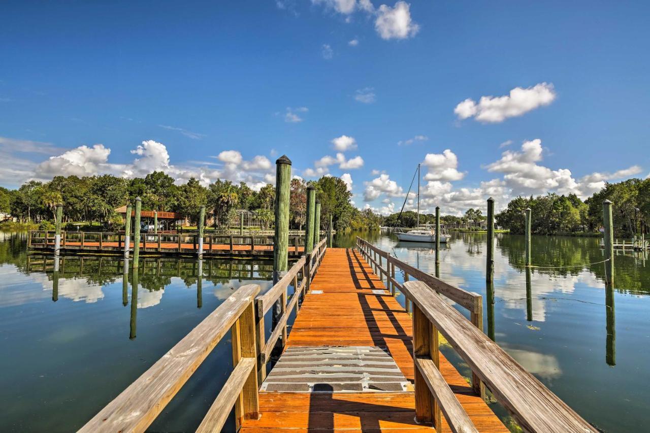 Crystal River House Scalloping And Dock, Gulf 7 Mi! 외부 사진